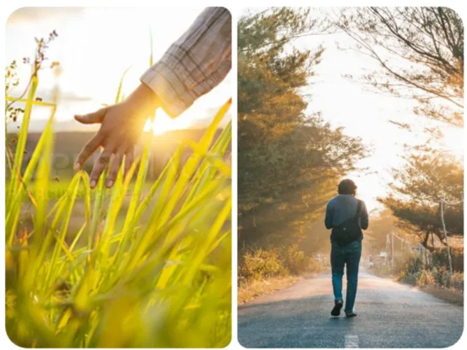 For illustration purpose only