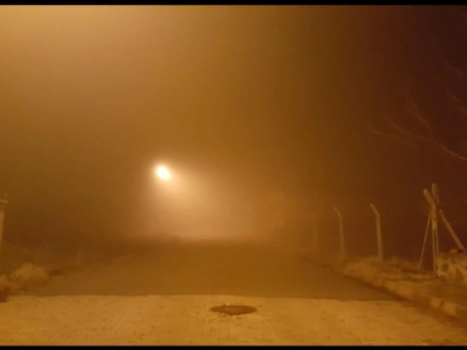 For illustration purpose only