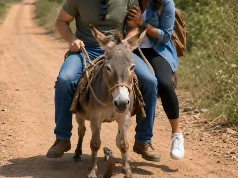 A Funny Village Story That Left the Husband Completely Speechless